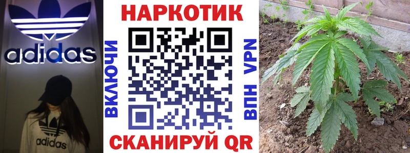 Где можно купить наркотики Рубцовск Кокаин  kraken ONION  Псилоцибиновые грибы  ГАШИШ  Канабис  Alpha PVP  Героин 