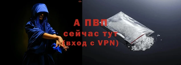 мяу мяу мука Пролетарск