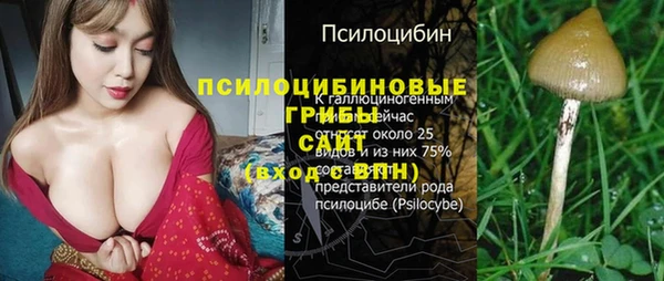 мяу мяу мука Пролетарск