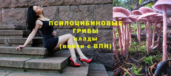 MDMA Premium VHQ Приозерск