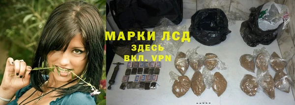 мяу мяу мука Пролетарск