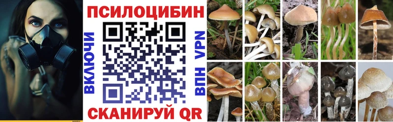mega ССЫЛКА  Рубцовск  Галлюциногенные грибы Psilocybine cubensis 