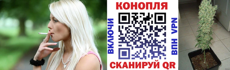 OMG онион  Рубцовск  Бошки марихуана ГИДРОПОН 